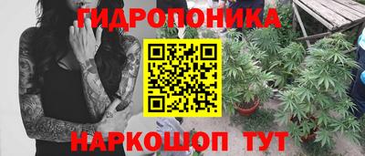 мдпв Янаул